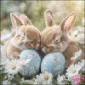 Meet your Posher, Sheri